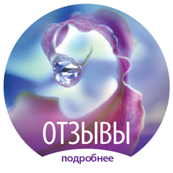 Отзывы
